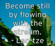 become-still-by-flowing-with-the-stream-lao-tze