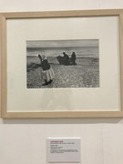 IMG-0474