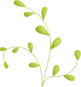 Leaves2