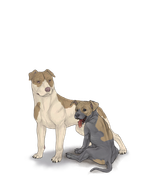 pittiepupadultbrownbig2