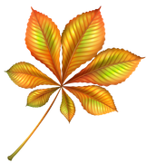 TADD_elements_Shimmer_Fall_79