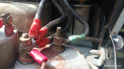 IMG-20230623-170408.jpg