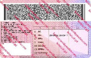 Albania Driving Licence Back_cleaned