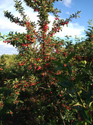 IMG_20210614_182159723