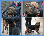 Be-Funky-collage-18.jpg&key=2ceec5036660