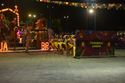 DSC-1519