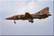 833 IAP Mig-23MLD 31 Red, Summer 1991