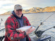 [Image: kokanee-at-jor.jpg]