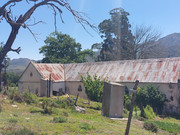 IMG-20241031-123644