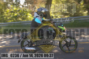IMG-0236