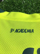 Palmeiras-3-23-24-1.jpg
