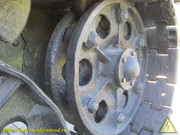 IMG-5450