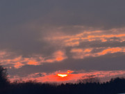 IMG-0463