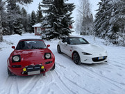 [Immagine: IMG_7477.jpg]