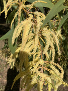 B275B05E-8D47-4F7F-9982-ED0DB1D3ABE5