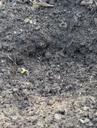 PXL_20240718_134252121