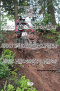 IMG-0321