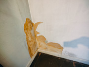 IMG20250104115233-051604