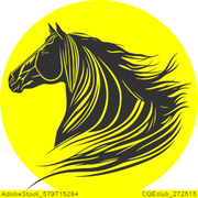 Colour of Choice 1 stable avi