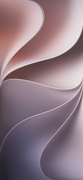 Celosia-(i-OS-27)-Dynamic-1