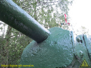 IMG-4551