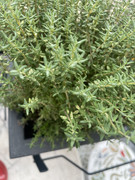 5FF782B8-6C5E-4A62-9DE4-B0779EFB00DF