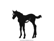 31A3301B-C354-452F-8419-EF928A7CD4A5