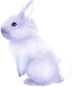 0-1c00e5-eb671196-orig