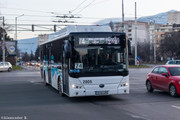 IMG-3610