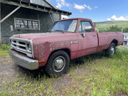 IMG-2936