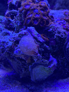 519C4295-E68F-40EB-B52D-42297AE8D9FB