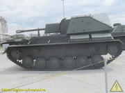 IMG-8618