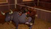cow-on-cow