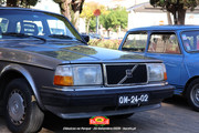 IMG-7196