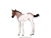 815AA8C4-8BFF-4E8A-AAE1-36A2EB6BF470