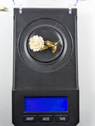 PXL-20260317-234616583