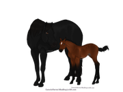 7E6DC69A-8584-4DBE-995C-3E01BEEEAA62