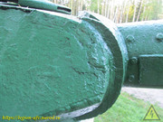 IMG-4541