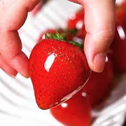 Cozinha onde a mágica acontece