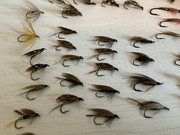 CFCC3A2D-1186-4A5E-9D73-F755A4D42FA5