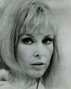 Barbara-Eden-d33