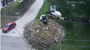 Kép