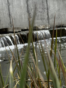 IMG-0991