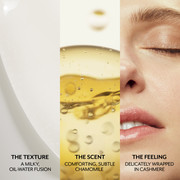H00007671-Infographic-4-Sensorial