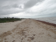 DSC00483