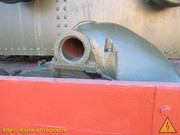 IMG-0156