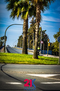 IMG-4951