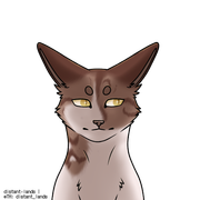 export202410080716341194