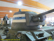 IMG-6246