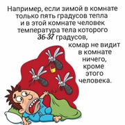 https://i.postimg.cc/QKTHMWb4/059.png